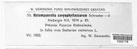 Melampsorella elatina image
